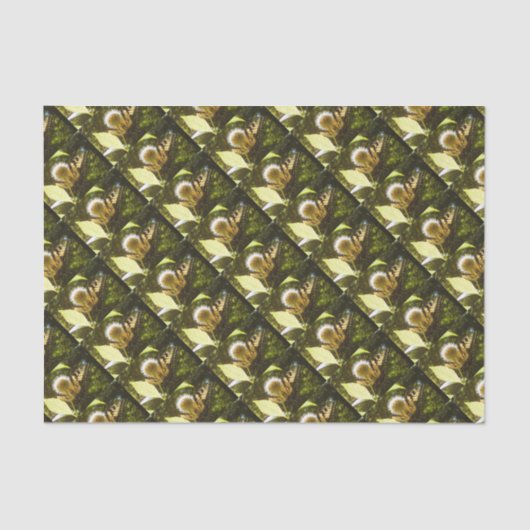 ジューン（昆虫）オオカバマダラ、モナーク花 薄葉紙 (正面)