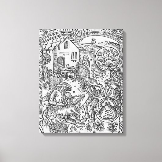 ジューン、羊の剪断、ジェミニ キャンバスプリント (正面)