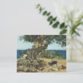 ジョアキンソロラ – ザカロブツリー ポストカード (スタンド正面)