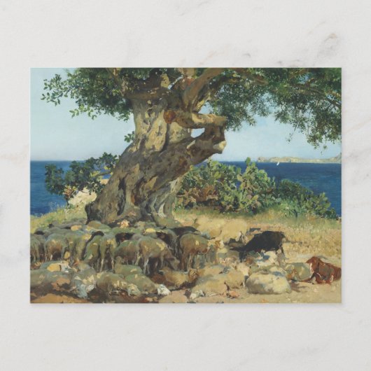 ジョアキンソロラ – ザカロブツリー ポストカード (正面)