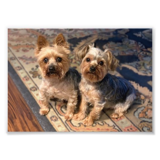 ジョアンニコラスロージー フォトプリント            (正面)