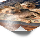 ジョアンニコラスロージー フォトプリント            (角)