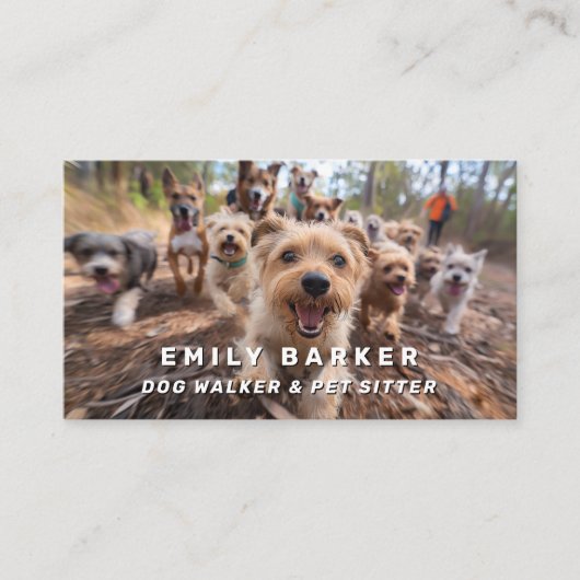 ジョイディカインパレードプロフェッショナルドッグウォーカー 名刺 (正面)