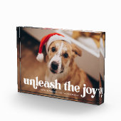 ジョイドッグを解き放つ フォトブロック (右)