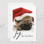 ジョイモダンペットホリデーカード シーズンカード (正面/裏面)