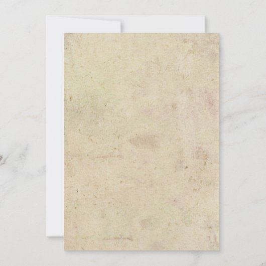 ジョイントツインベースボール誕生日招待状ガール 招待状 (裏面)