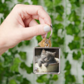 ジョイ満載のバケツ甘いグレーの子猫 キーホルダー (手)