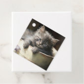 ジョイ満載のバケツ甘いグレーの子猫 フェイバータグ (インサイチュ)