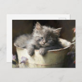 ジョイ満載のバケツ甘いグレーの子猫 ポストカード (正面/裏面)