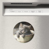 ジョイ満載のバケツ甘いグレーの子猫 マグネット (インサイチュ (食洗機))