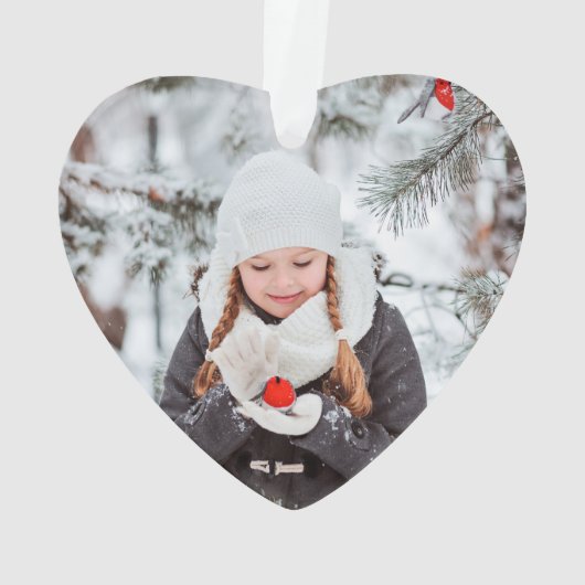 ジョイ赤(鳥)ショウジョウコウカンチョウ水色クリスマスバードフォト オーナメント (裏面)