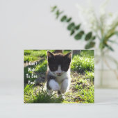 ジョイ・キットンのポストカードにジャンプカスタマイズ** ポストカード (スタンド正面)