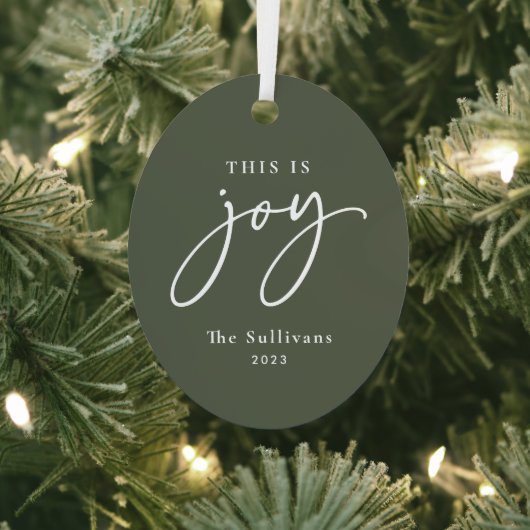 ジョイ・グリーン・フォト・ホリデー メタルオーナメント (インサイチュ)