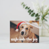 ジョイ・ドッグの写真を解き放つ シーズンポストカード (スタンド正面)