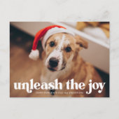 ジョイ・ドッグの写真を解き放つ シーズンポストカード (正面)