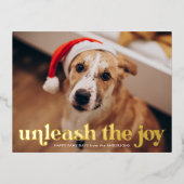 ジョイ・ドッグの写真を解き放つ 箔シーズンポストカード (正面)