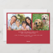 ジョイ（鳥）ショウジョウコウカンチョウ水彩写真クリスマス シーズンカード (裏面)