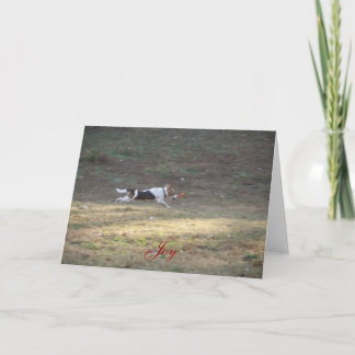 ジョイ – 2012 シーズンカード