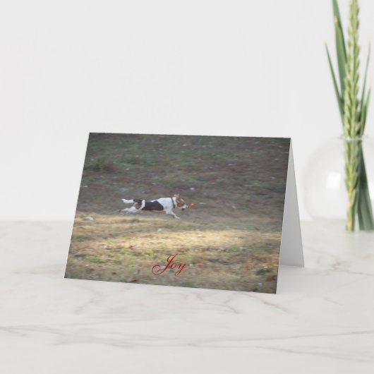 ジョイ – 2012 シーズンカード (正面)