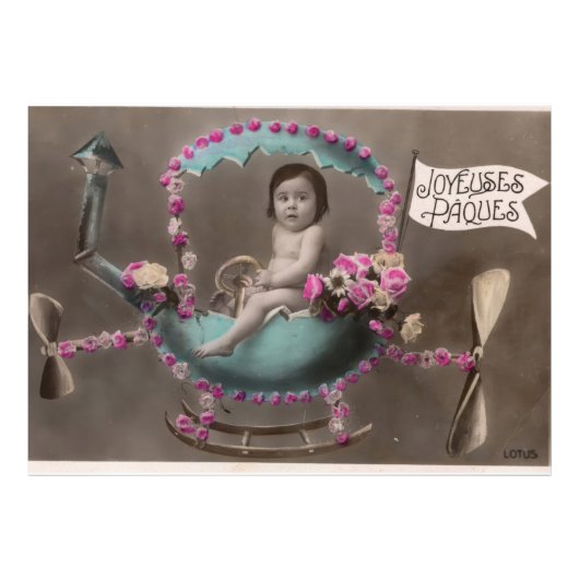 ジョエウズパケス フォトプリント            (正面)