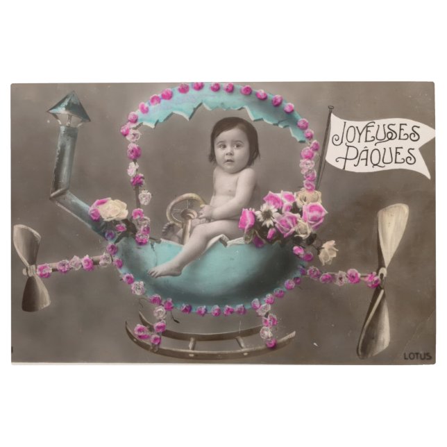 ジョエウズパケス メタルプリント (正面)