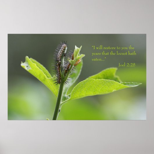 ジョエル2:25聖なる書物、 経典ポスター（バージョンC） ポスター (正面)