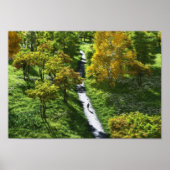 ジョギング ポスター (正面)