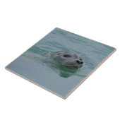 ジョクルサロン氷河湖で泳ぐハーバーシール タイル (側面)