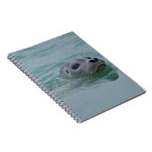 ジョクルサロン氷河湖で泳ぐハーバーシール ノートブック (右側)