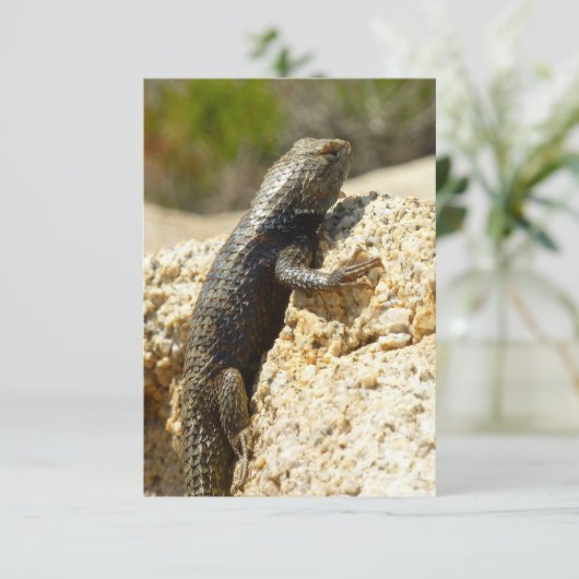 ジョシュアの木で黄色い背のとげのあるトカゲ (スタンド正面)