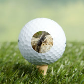 ジョシュアの木で黄色い背のとげのあるトカゲ ゴルフボール (インサイチュ 木)