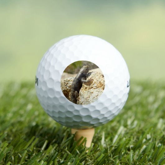 ジョシュアの木で黄色い背のとげのあるトカゲ ゴルフボール (インサイチュ 木)