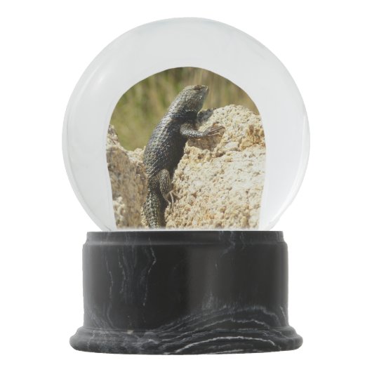 ジョシュアの木で黄色い背のとげのあるトカゲ スノーグローブ (裏面)