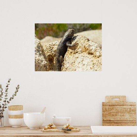 ジョシュアの木で黄色い背のとげのあるトカゲ ポスター (キッチン)