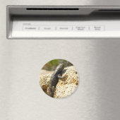 ジョシュアの木で黄色い背のとげのあるトカゲ マグネット (インサイチュ (食洗機))