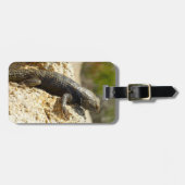 ジョシュアの木で黄色い背のとげのあるトカゲ ラゲッジタグ (正面横)