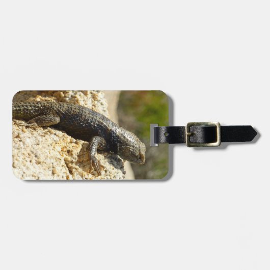 ジョシュアの木で黄色い背のとげのあるトカゲ ラゲッジタグ (正面横)