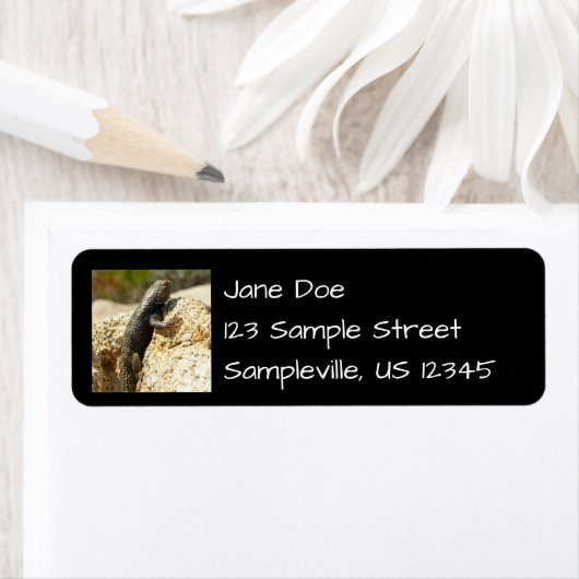 ジョシュアの木で黄色い背のとげのあるトカゲ ラベル (インサイチュ)