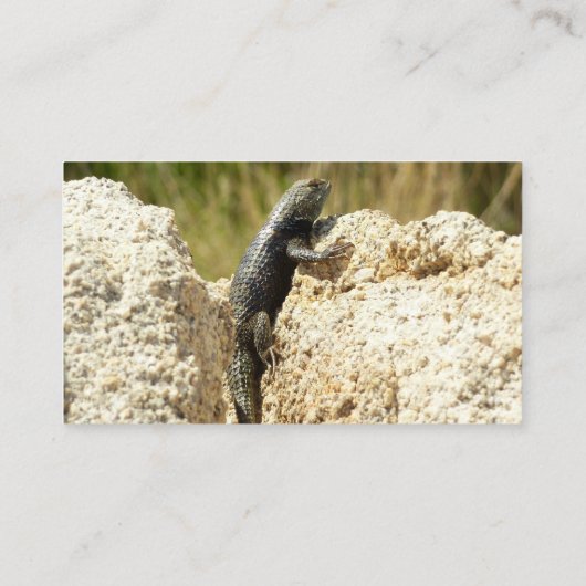 ジョシュアの木で黄色い背のとげのあるトカゲ 名刺 (裏面)