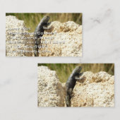 ジョシュアの木で黄色い背のとげのあるトカゲ 名刺 (正面/裏面)