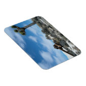 ジョシュアの木とタルク鉱山の遺跡 マグネット (右側)