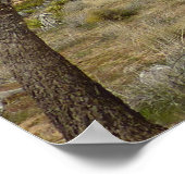 ジョシュアの木と青い空の砂漠の風景 ポスター (角)