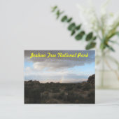 ジョシュアの木に虹 ポストカード (スタンド正面)