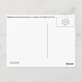 ジョシュアの木に虹 ポストカード (裏面)