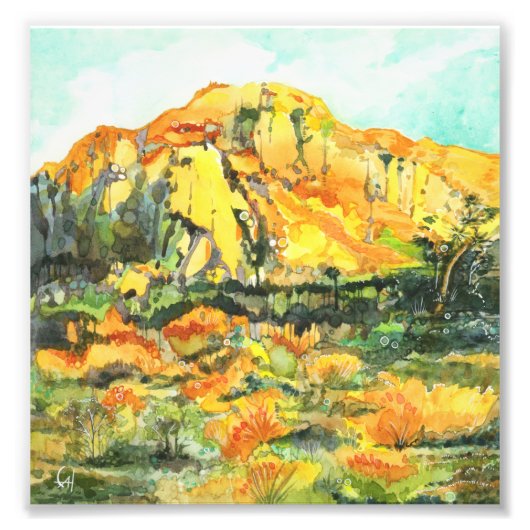 ジョシュアの木の日没 – 水の色絵画の フォトプリント            (正面)