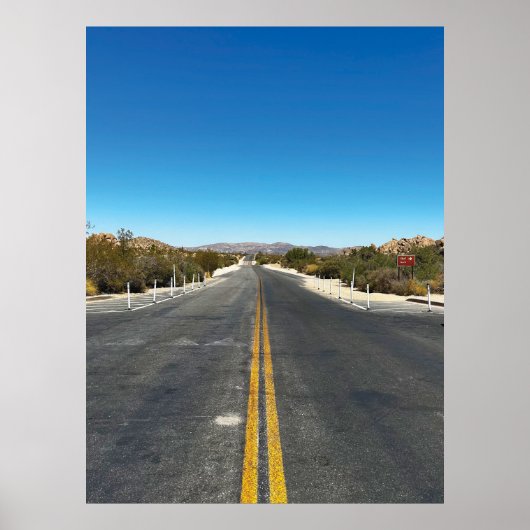 「ジョシュアの木を走り抜ける」 ポスター (正面)