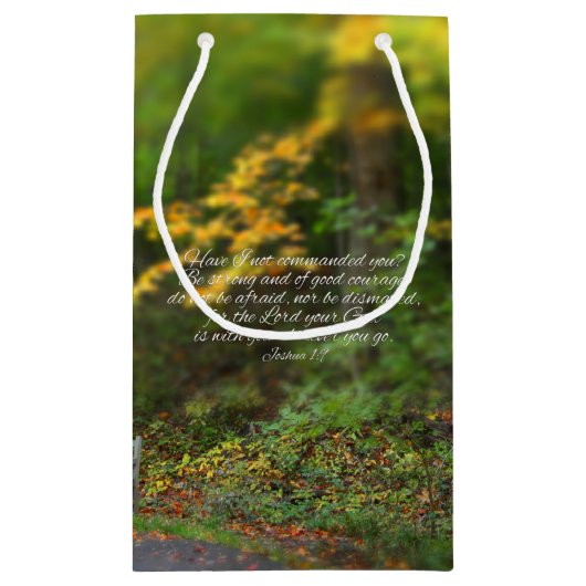 ジョシュアの1:9の聖書の詩のクリスチャンの聖なる書物、経典 スモールペーパーバッグ (裏面)