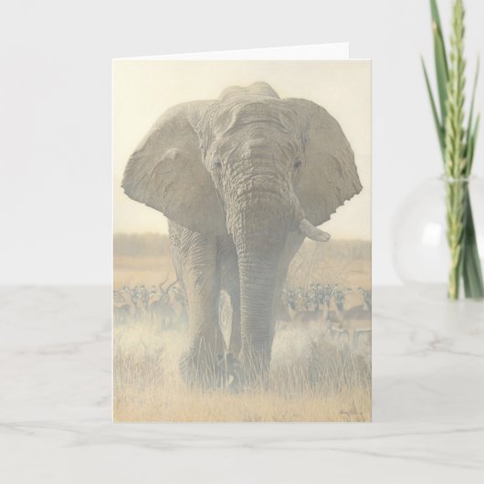 ジョシュアはメッセージカードを調査します カード (正面)