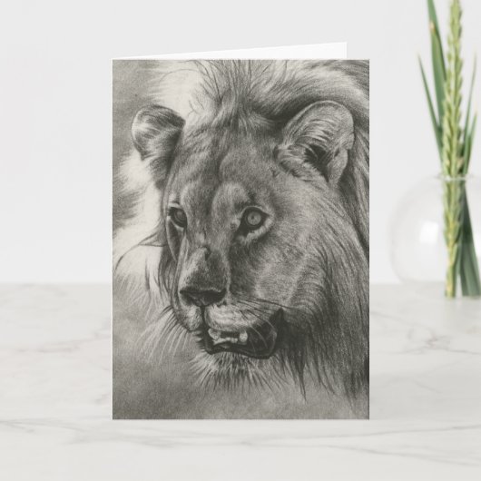 ジョシュアはメッセージカードを調査します カード (正面)