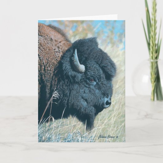 ジョシュアはメッセージカードを調査します カード (正面)